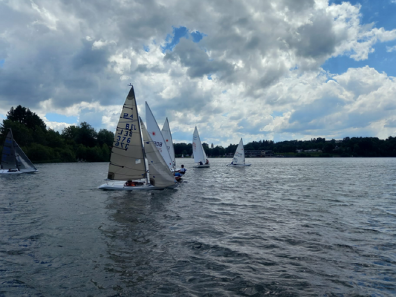 /img_activites/25220_Regate_du_Roi.png