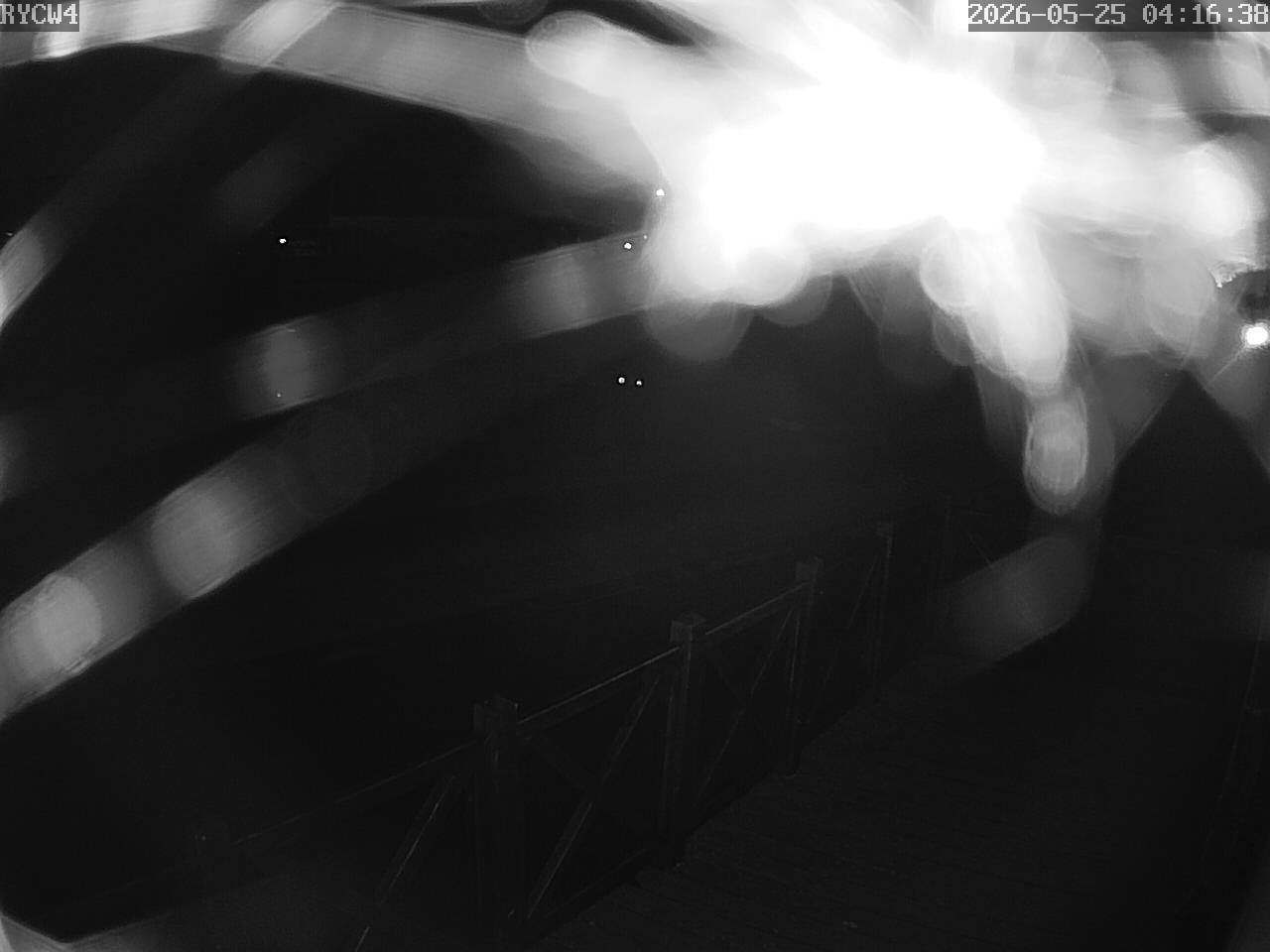 webcam/rycw4/P26052504163810.jpg